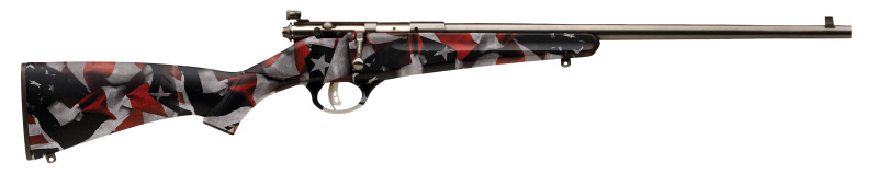 062654138010 Savage Arms 13801 Rascal Youth 22 LR 1rd 16.13" Satin ...