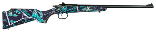 611613021728 CRICKETT CRICKETT - Cricketts Single Shot 22 LR rifle ...